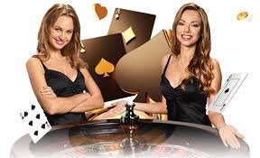 5536 com bet